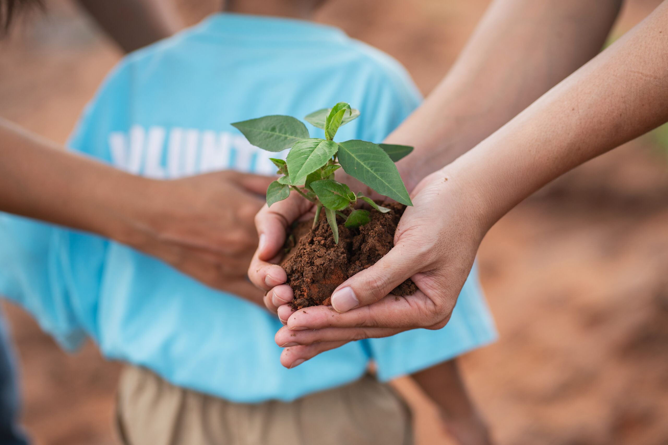 volunteer families planting trees together to expand green space and support environmental conservation.